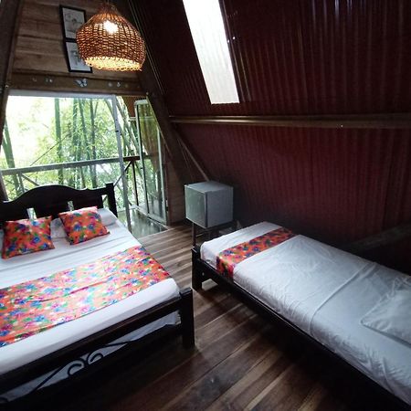 Hostal Las Mariposas Minca Ngoại thất bức ảnh