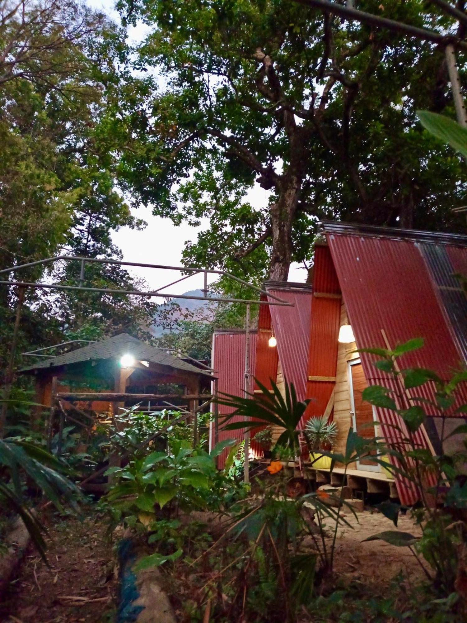 Hostal Las Mariposas Minca Ngoại thất bức ảnh