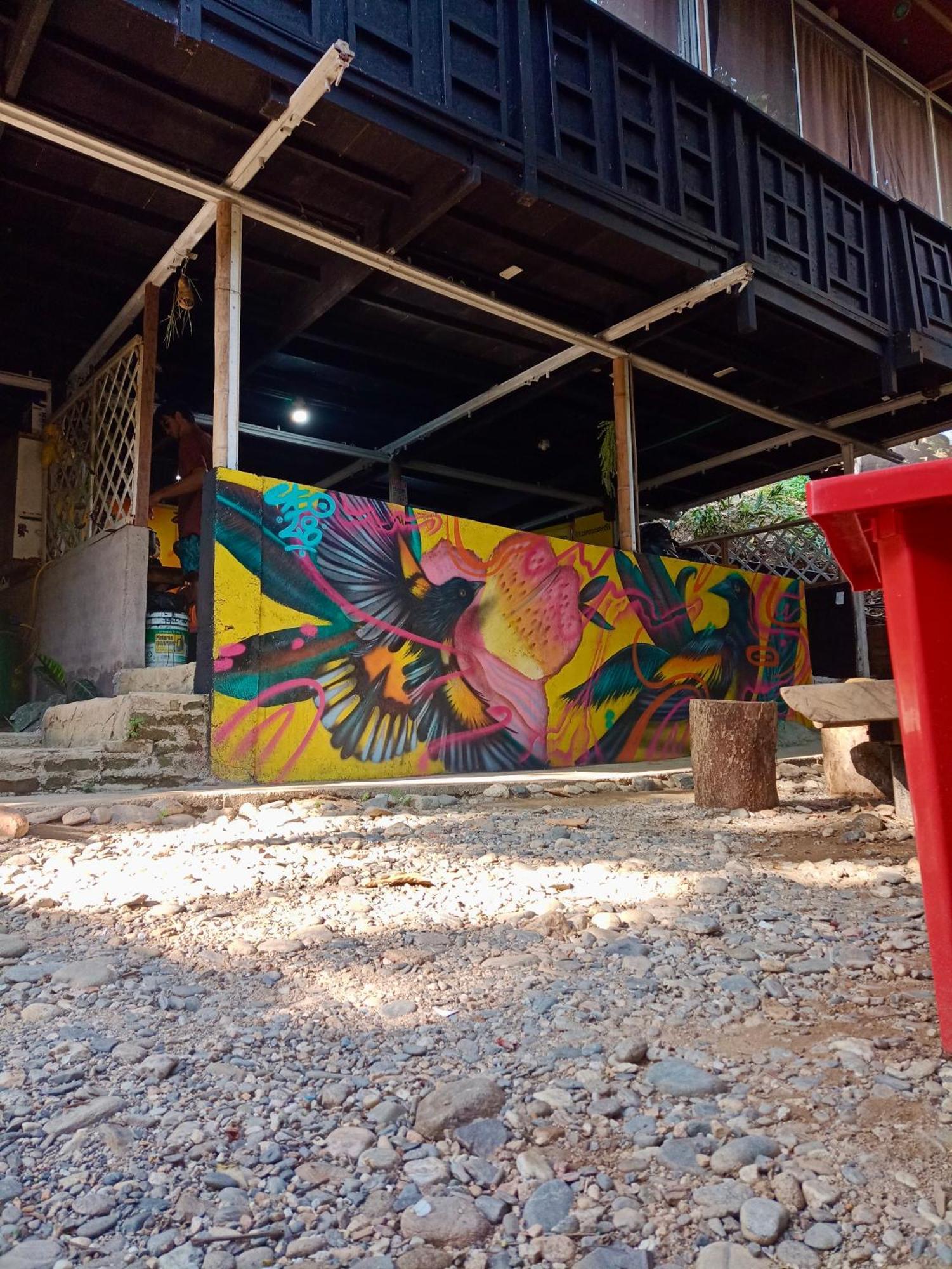Hostal Las Mariposas Minca Ngoại thất bức ảnh