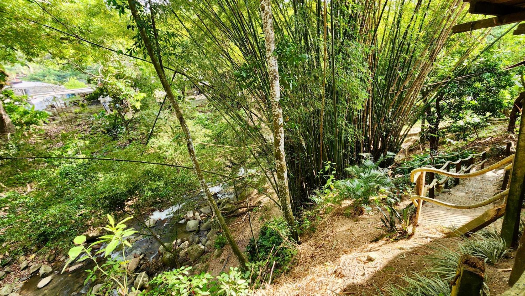 Hostal Las Mariposas Minca Ngoại thất bức ảnh