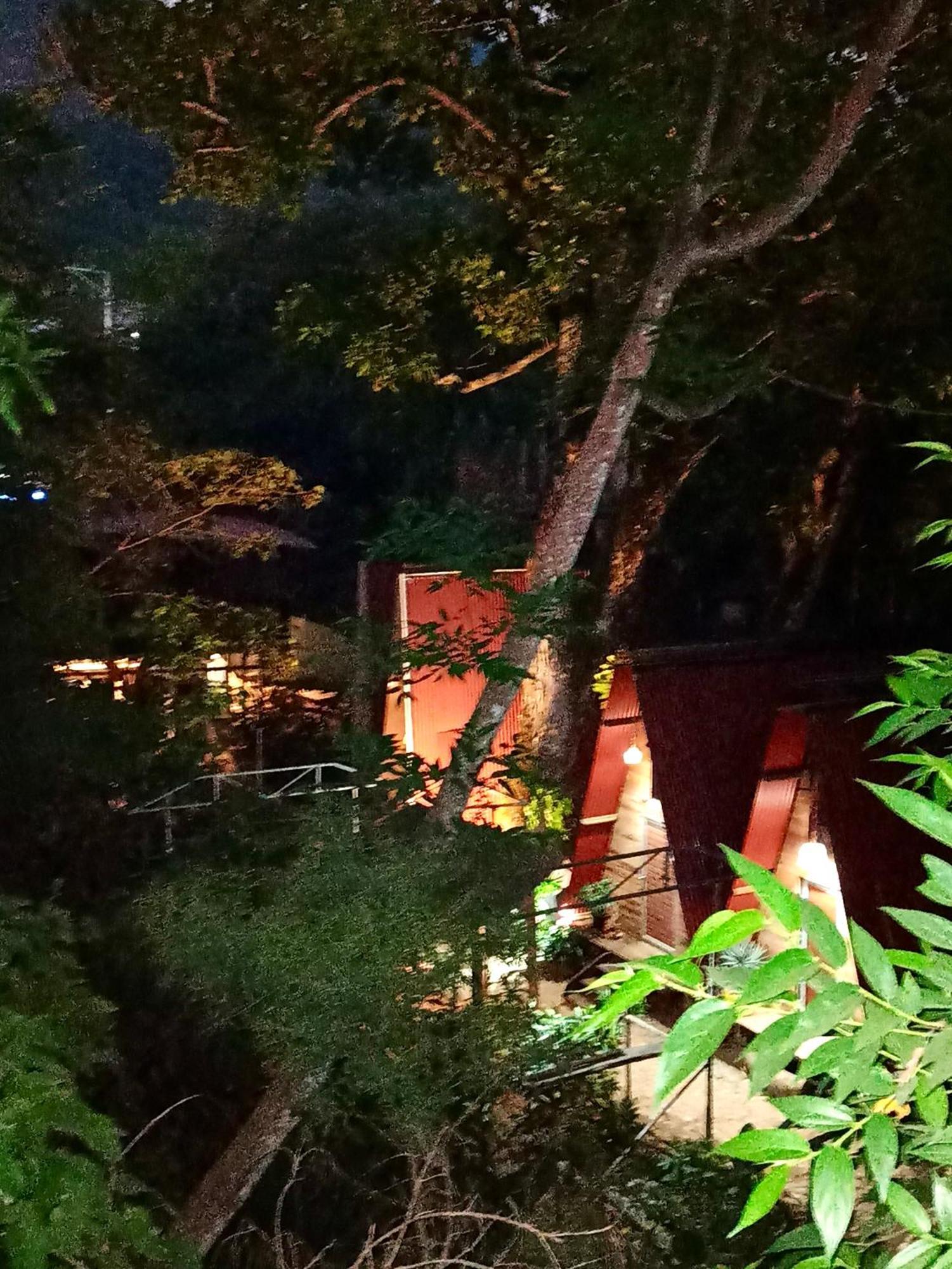 Hostal Las Mariposas Minca Ngoại thất bức ảnh
