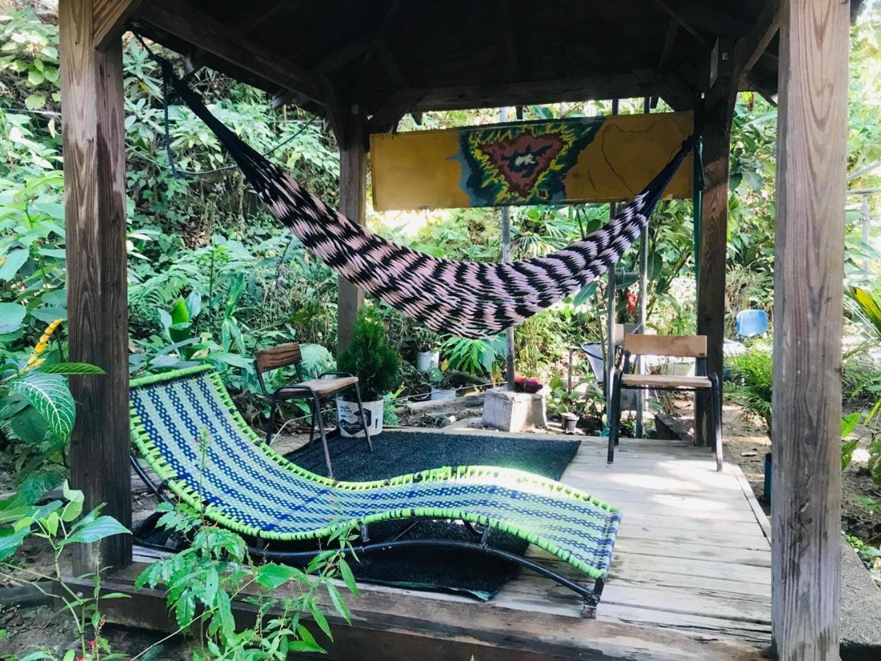 Hostal Las Mariposas Minca Ngoại thất bức ảnh