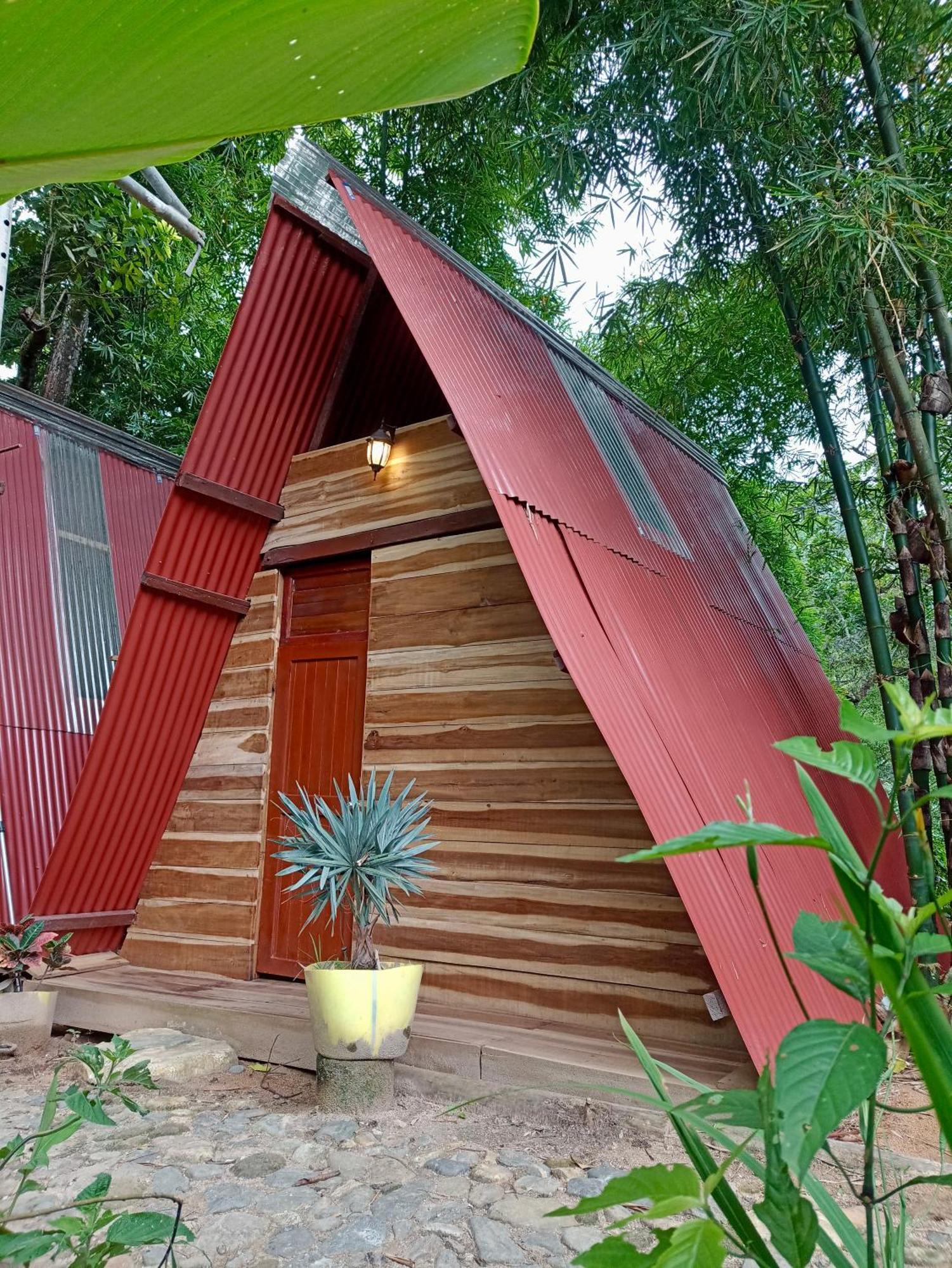 Hostal Las Mariposas Minca Ngoại thất bức ảnh