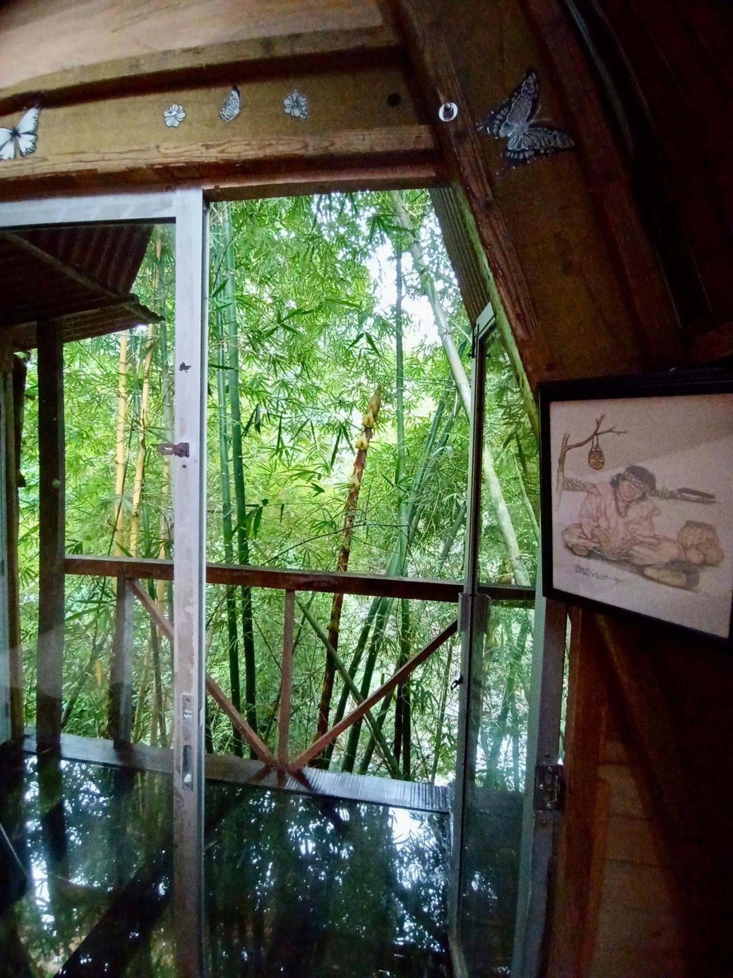 Hostal Las Mariposas Minca Ngoại thất bức ảnh