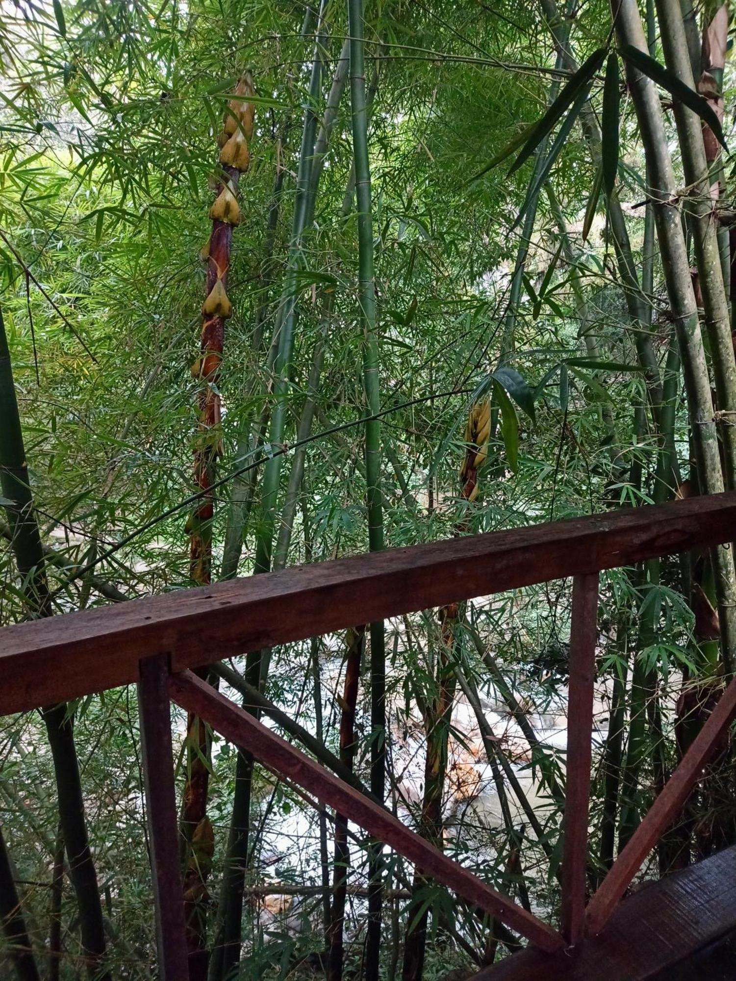 Hostal Las Mariposas Minca Ngoại thất bức ảnh