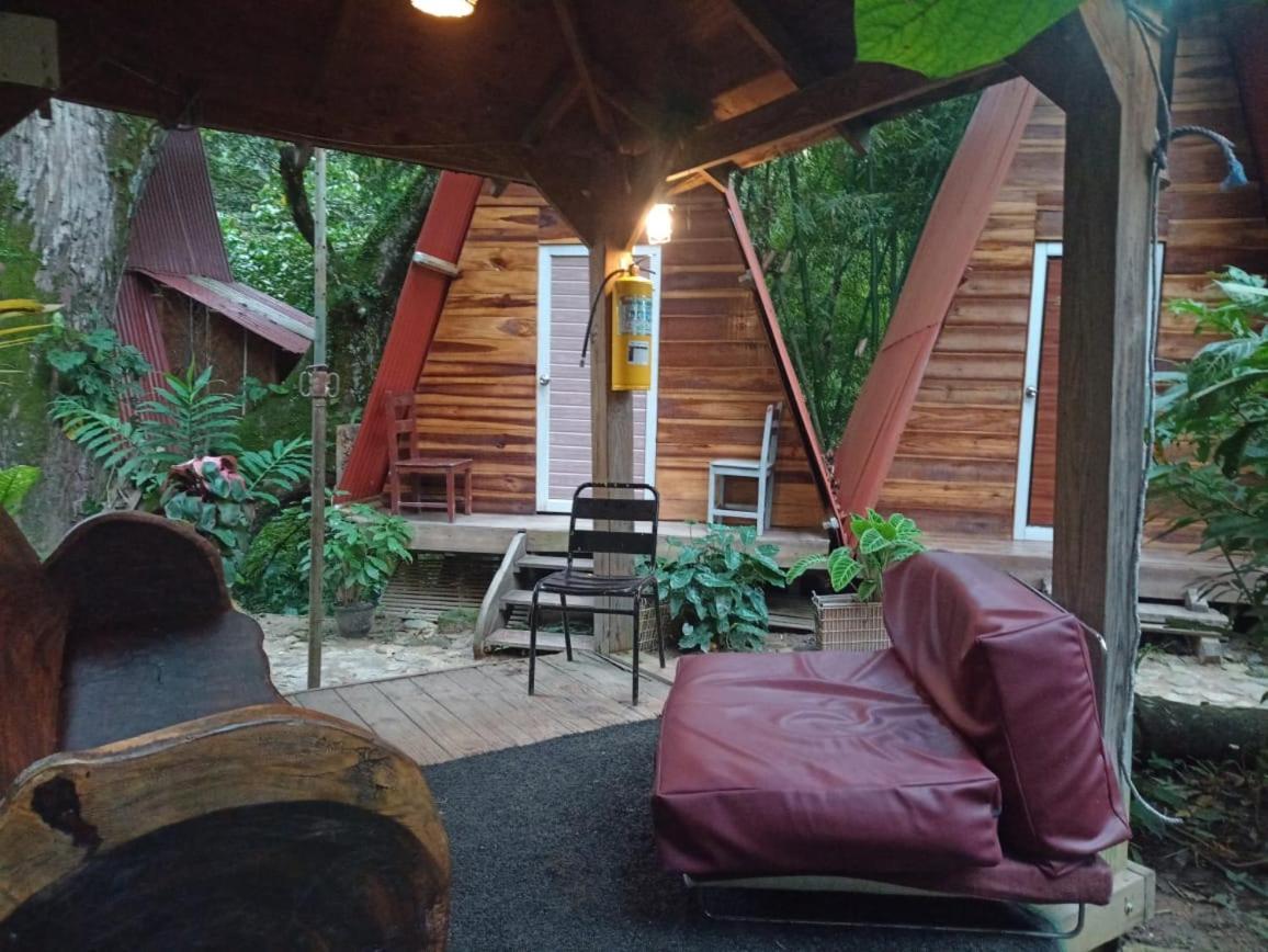 Hostal Las Mariposas Minca Ngoại thất bức ảnh