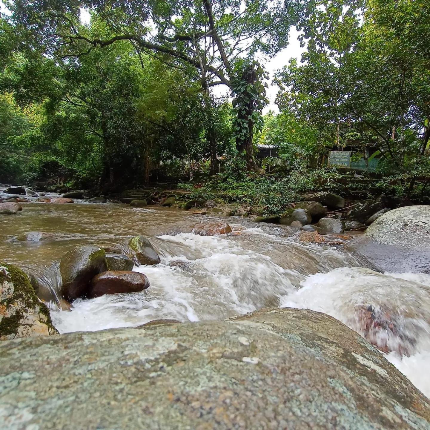 Hostal Las Mariposas Minca Ngoại thất bức ảnh