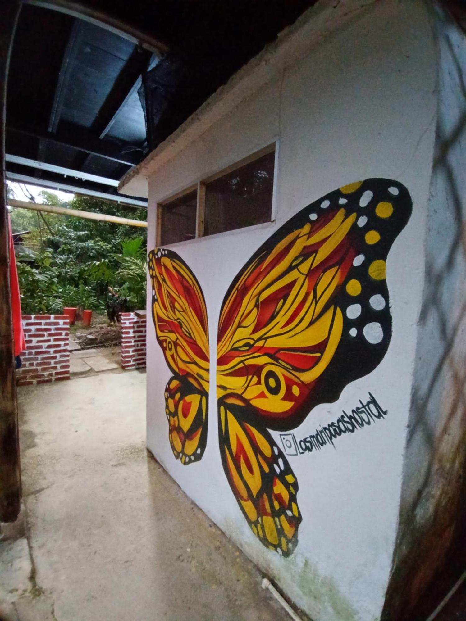Hostal Las Mariposas Minca Ngoại thất bức ảnh