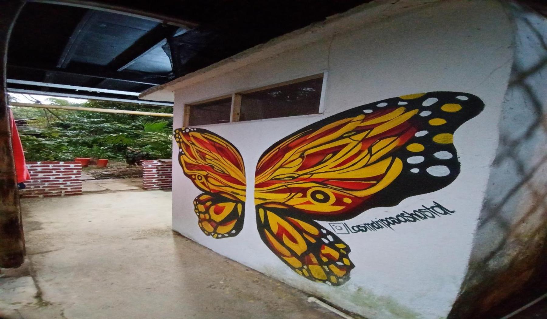 Hostal Las Mariposas Minca Ngoại thất bức ảnh